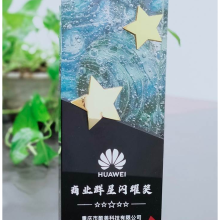 2022-華為-商業(yè)群星閃耀獎(jiǎng)