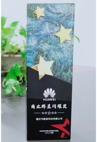 2022-華為-商業(yè)群星閃耀獎